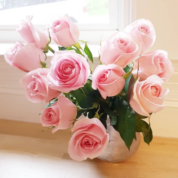 Meet your Posher, Renata bianca - Picture 1 of 1